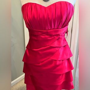 NWT Beautiful cocktail dress by Cinderella Devine.